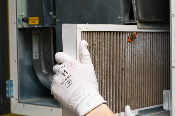 Best Home Air Vent Cleaning  in Hoopeston, IL