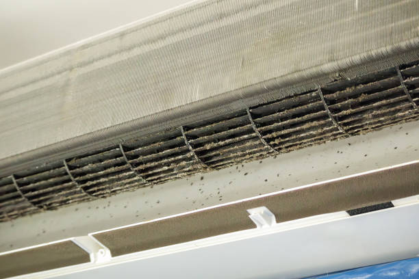 Best Air Duct Cleaning Near Me  in Hoopeston, IL