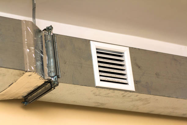 Best Local Air Duct Cleaning Services  in Hoopeston, IL